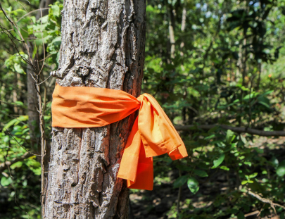 camping-bandana